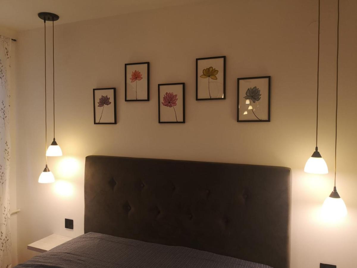 Apartman Darvin / Lux 베오그라드 외부 사진